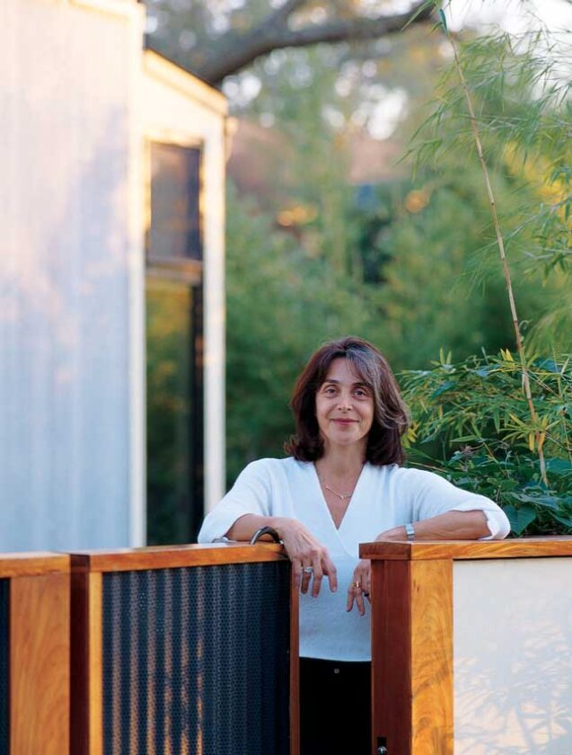 Energy, space, and cost efficiency were the names of the game for interior designer Sandra Slater. Her house is a token to classy, sophisticated architectural and interior design.